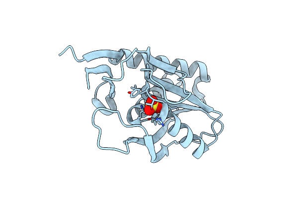 4P82 image