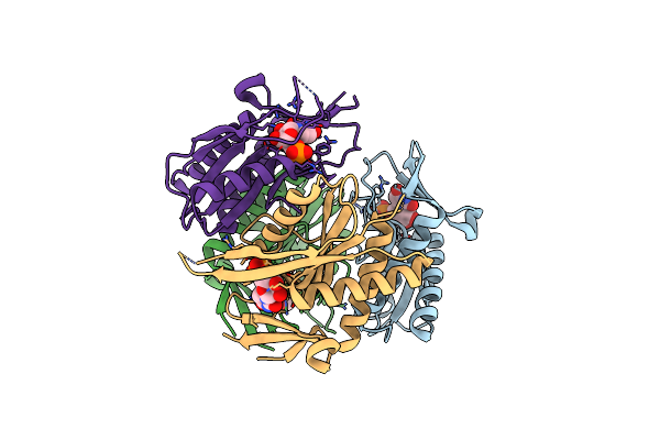 4P83 image