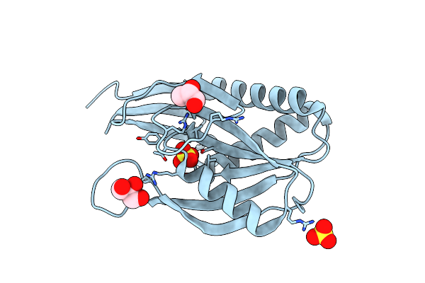 4P84 image