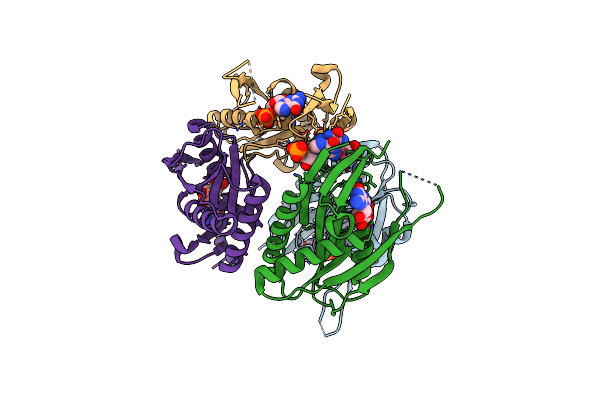 4P86 image