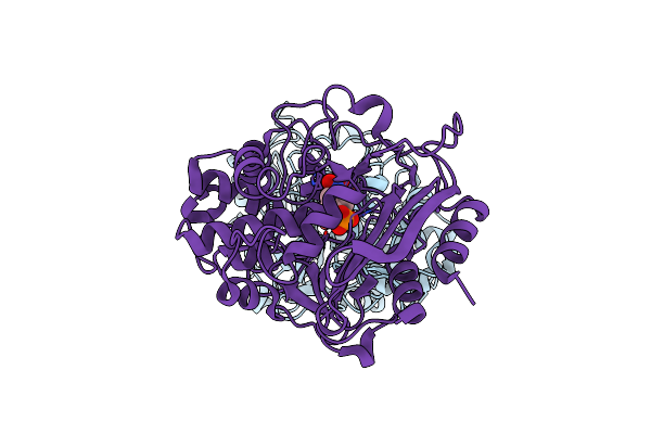 4P87 image
