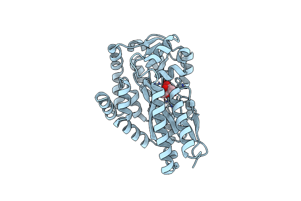 4P8B image