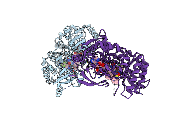 4P8H image