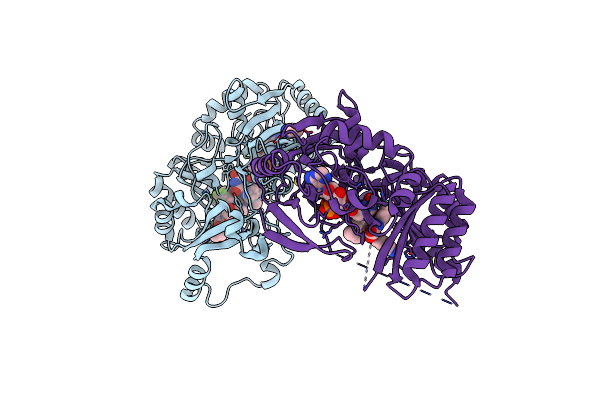 4P8T image