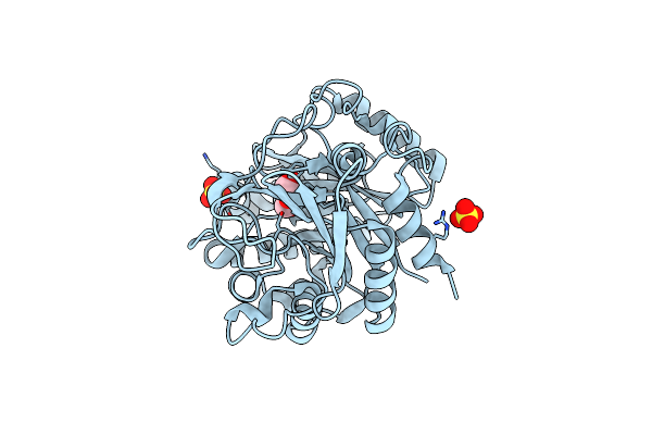 4P8U image