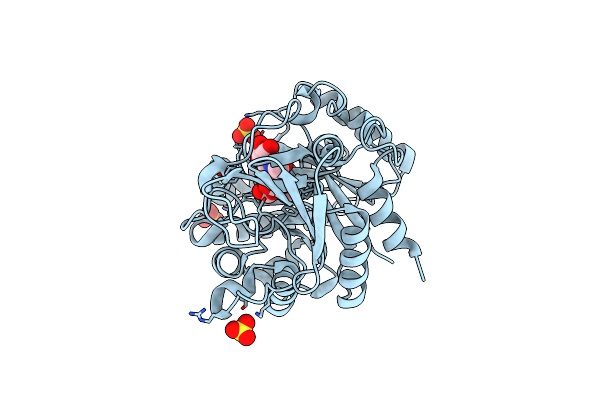 4P8V image