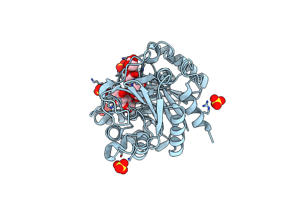 4P8W image