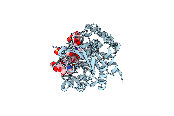 4P8X image