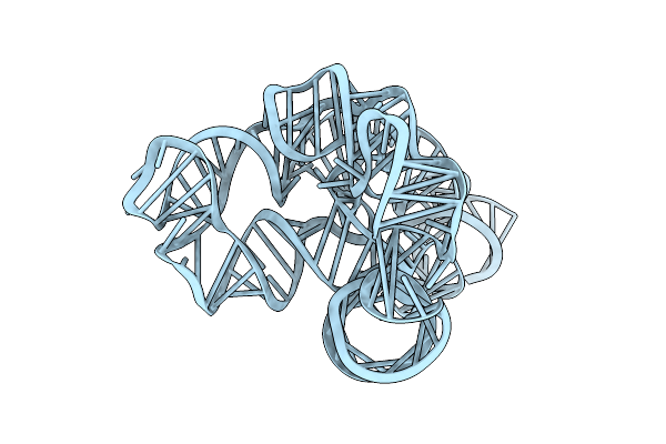 4P8Z image