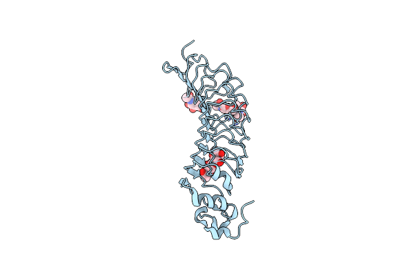 4P91 image
