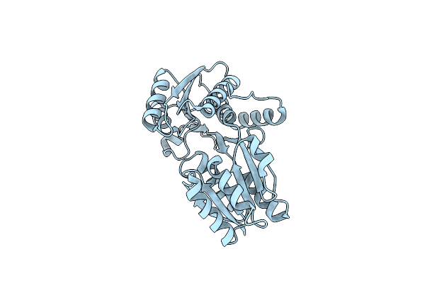 4P98 image