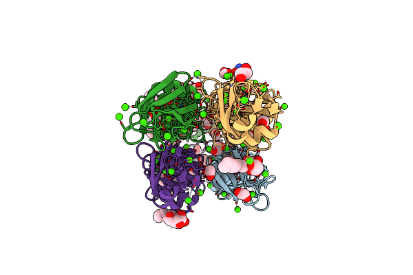4P99 image