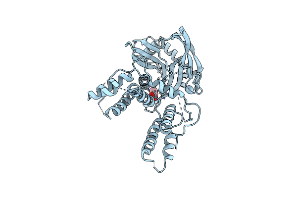 4P9A image