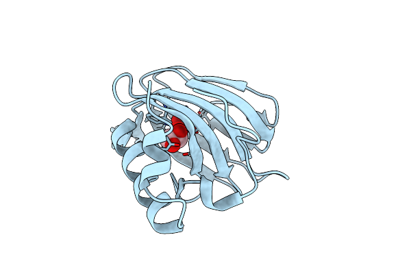 4P9G image