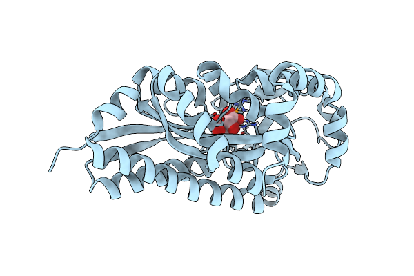 4P9K image