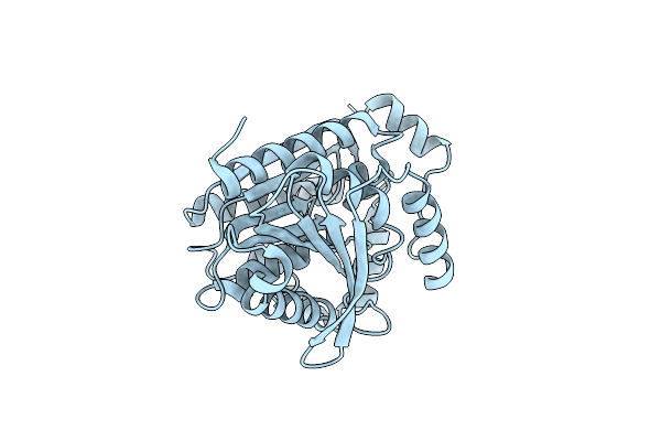 4P9N image