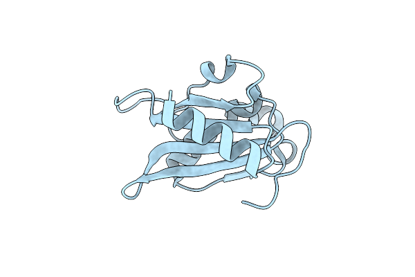 4PAU image