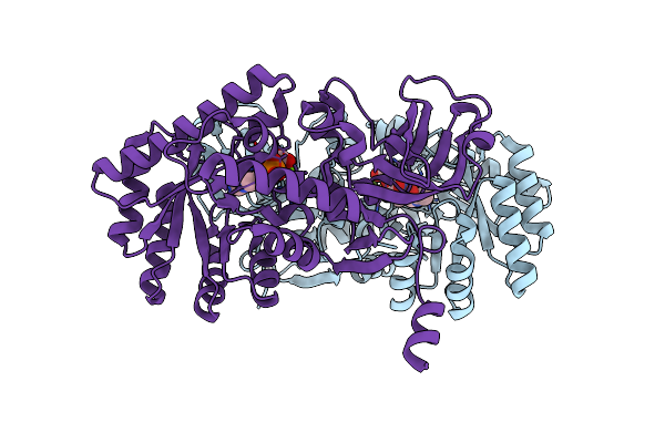 4PB4 image