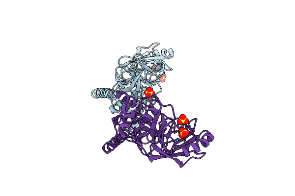 4PBB image