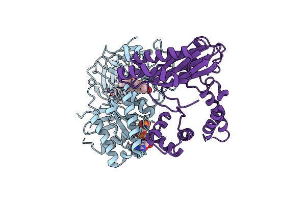 4PC7 image