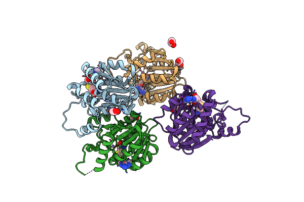 4PCA image