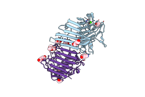 4PCR image