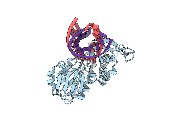 4PD2 image