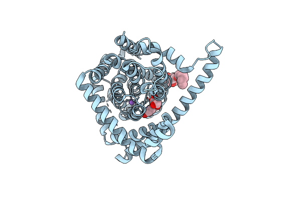 4PD6 image