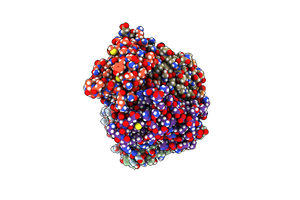 4PDC image