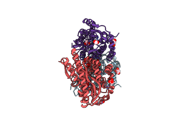 4PDD image