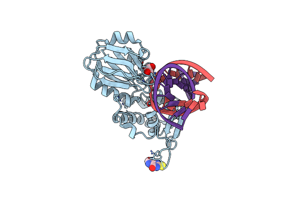 4PDG image
