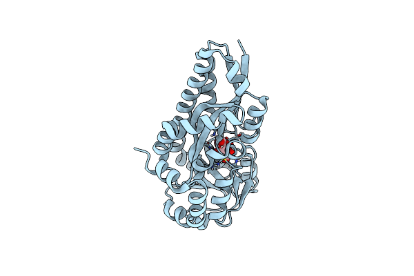 4PDH image