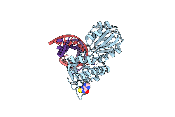 4PDI image