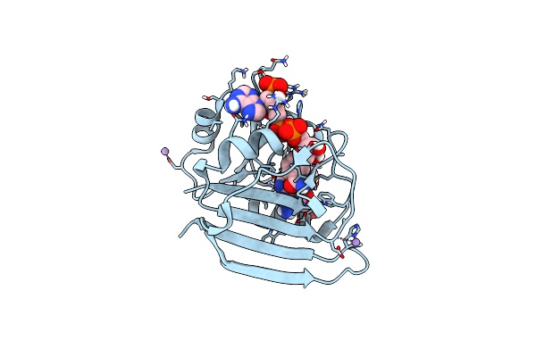4PDJ image