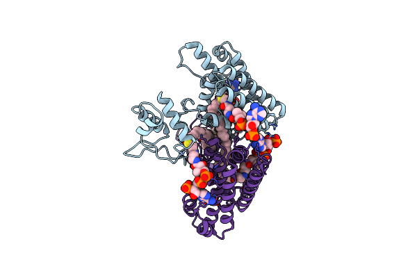 4PDK image