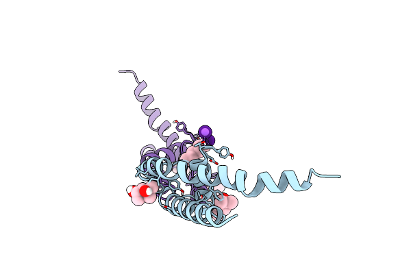 4PDL image