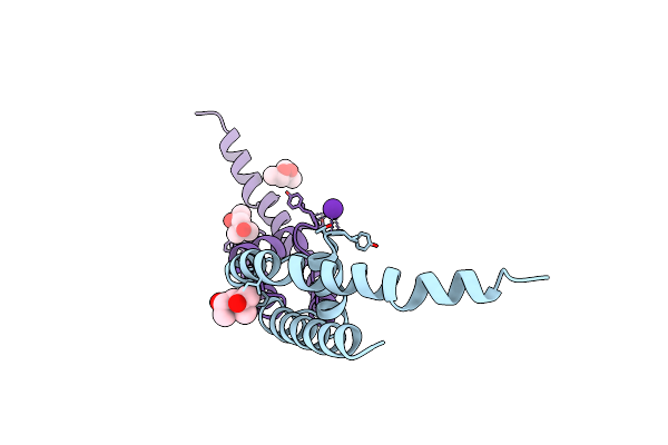 4PDM image