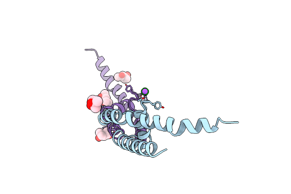 4PDR image