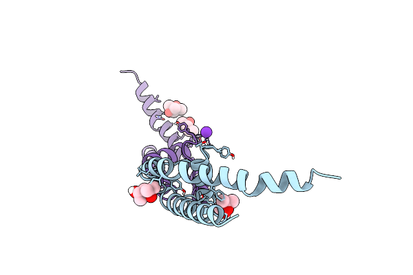 4PDV image