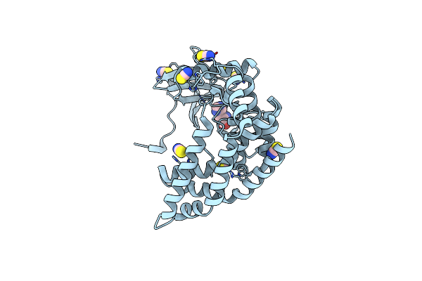 4PDY image