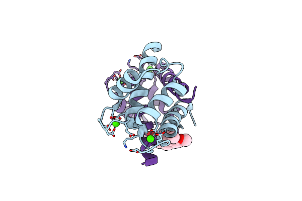 4PDZ image