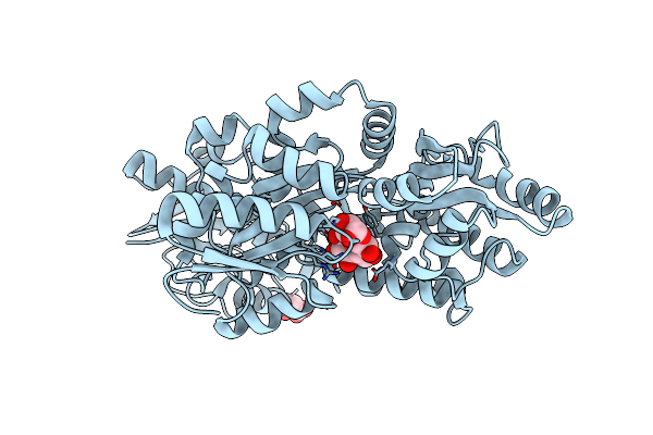 4PE2 image