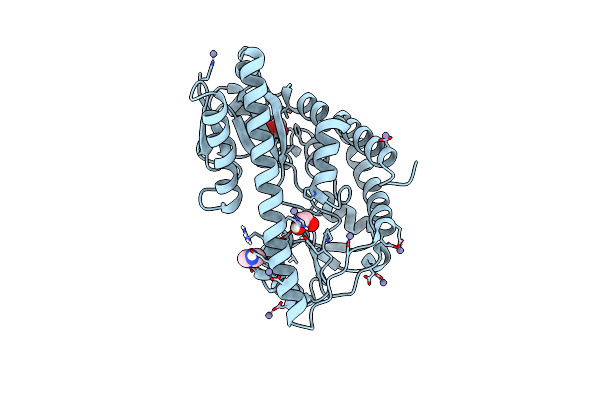 4PE3 image