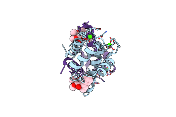 4PE4 image