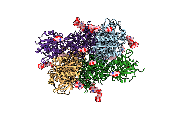 4PE5 image