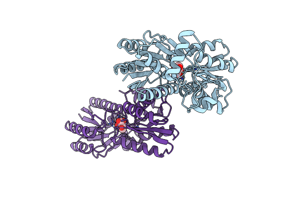4PE6 image
