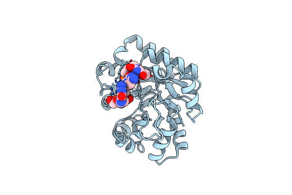 4PE8 image