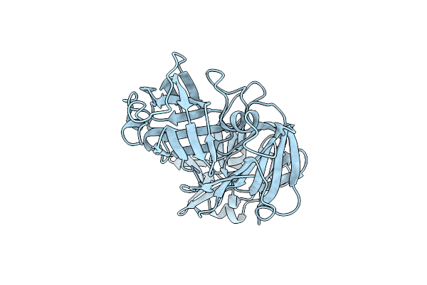 4PEP image