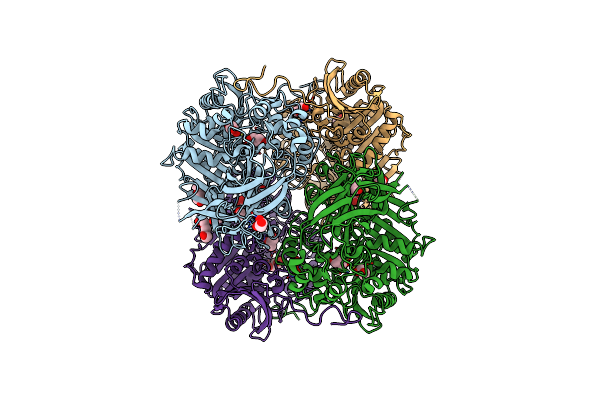 4PF1 image