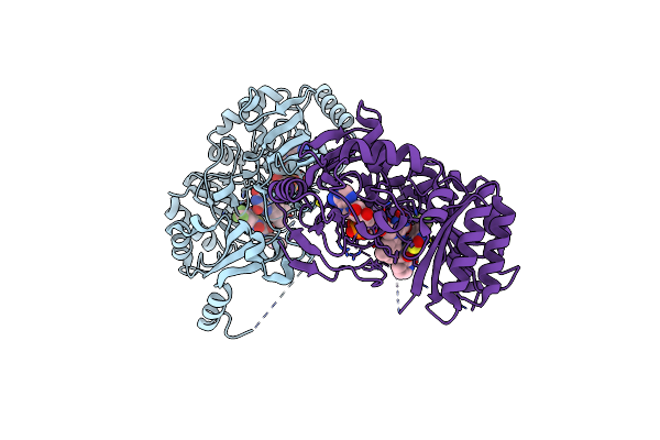 4PFA image